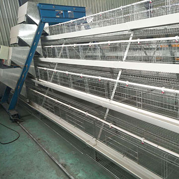 Automatic Feeding System